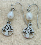 Boab Tree Stainless Steel Earrings
