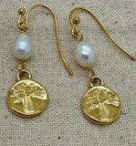 Boab Tree Stainless Steel Earrings