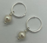 Freshwater Pearl Sleeper Earrings